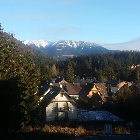 Kamzík