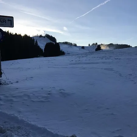 Kamzik Доновалы